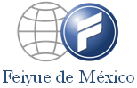 Feiyue México